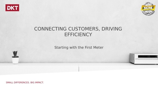 Connecting Customers, Driving Efficiency - DKT